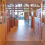 Tannenhof Hotel Spiegelau