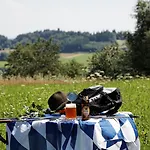 Hotel Tannenhof Spiegelau