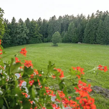 Отель Tannenhof